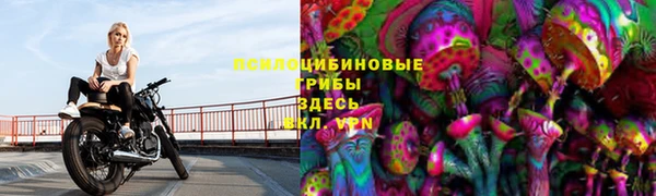 МДПВ Алзамай