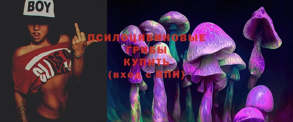 спайс Алексин