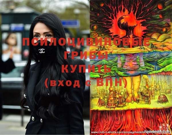 спайс Алексин